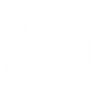 Voxflow AI Logo